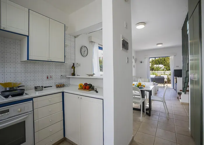 Stef プロタラス