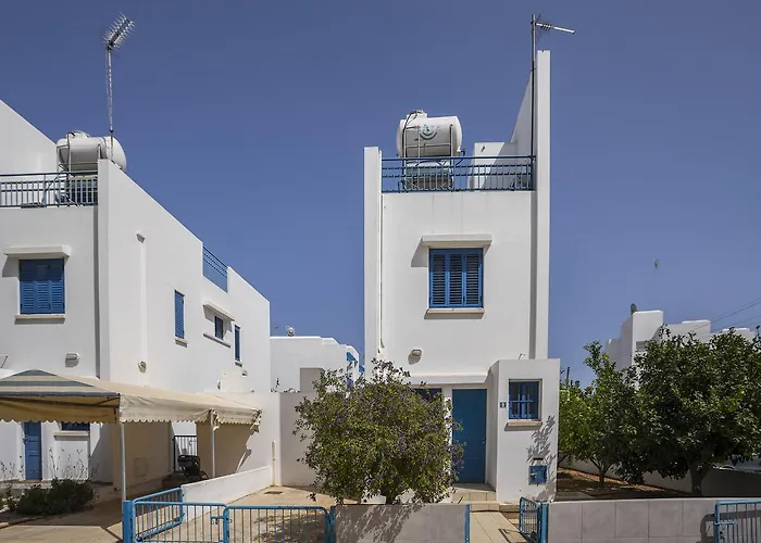 Stef プロタラス